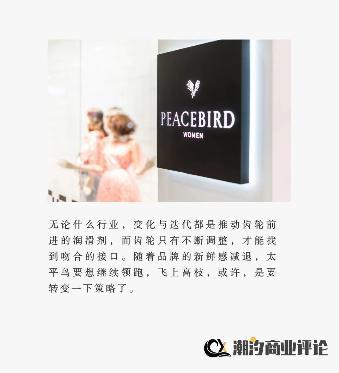 “太平鸟”们，难跃枝头