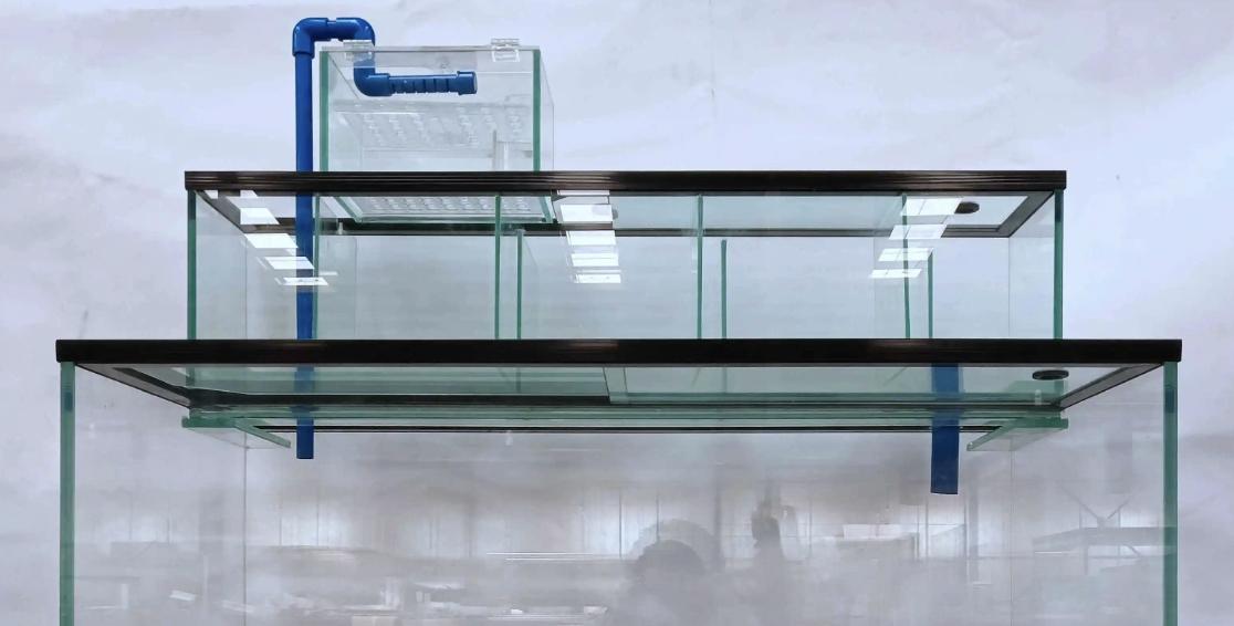 孔雀鱼鱼苗鱼缸过滤,小型侧滤鱼缸养孔雀鱼怎么样