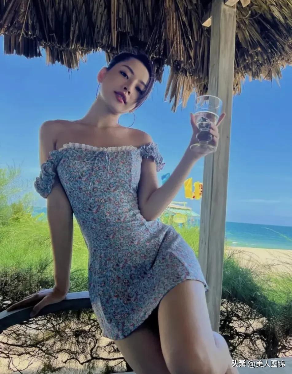 越南芝芙,芝芙越南