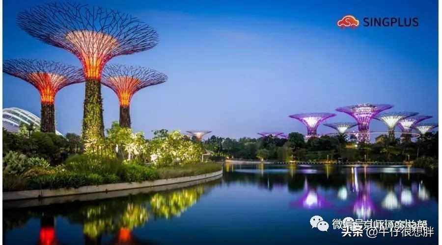 新加坡签证（满满干货请收藏）