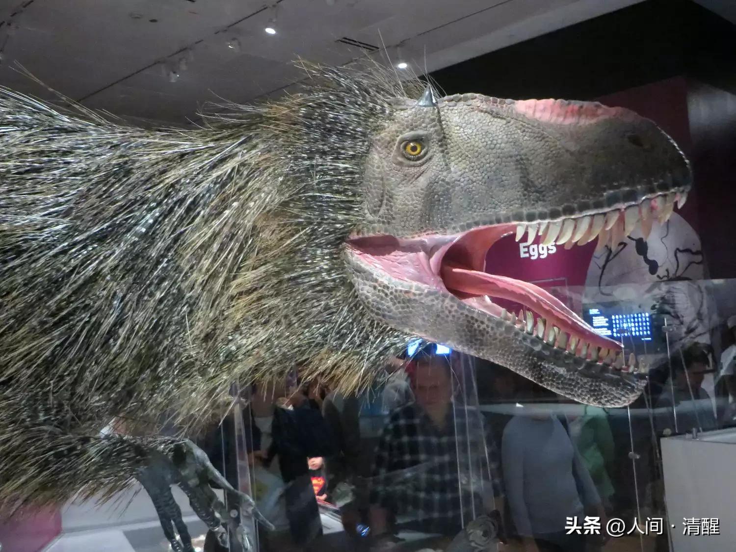 游星方舟奇怪的恐龙,世界上最奇葩的恐龙是什么恐龙