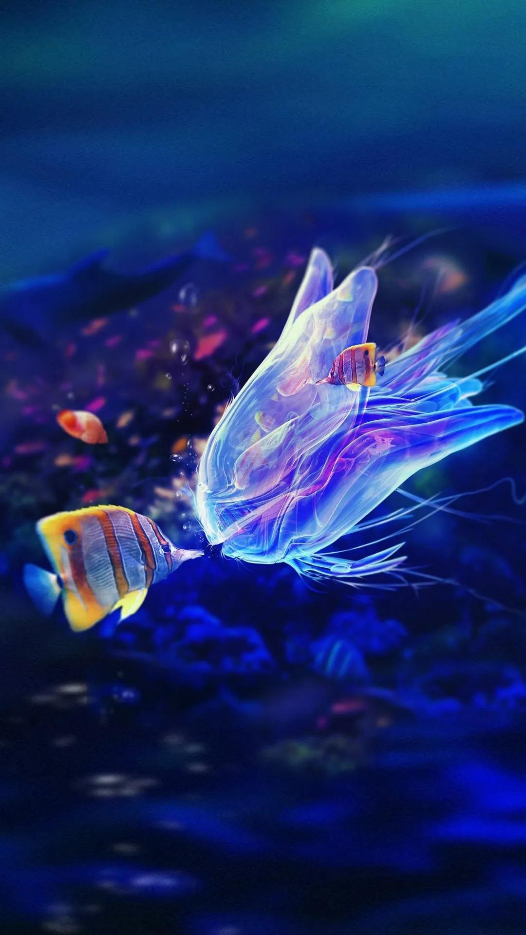 蓝色海景壁纸图片大全,海景壁纸4k超清全面屏