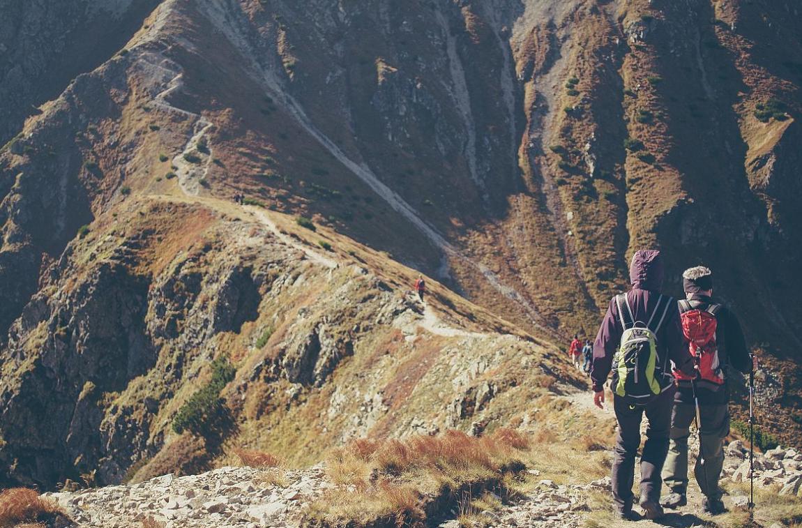 国外旅游信息系统现状,国内旅游管理信息系统有哪些