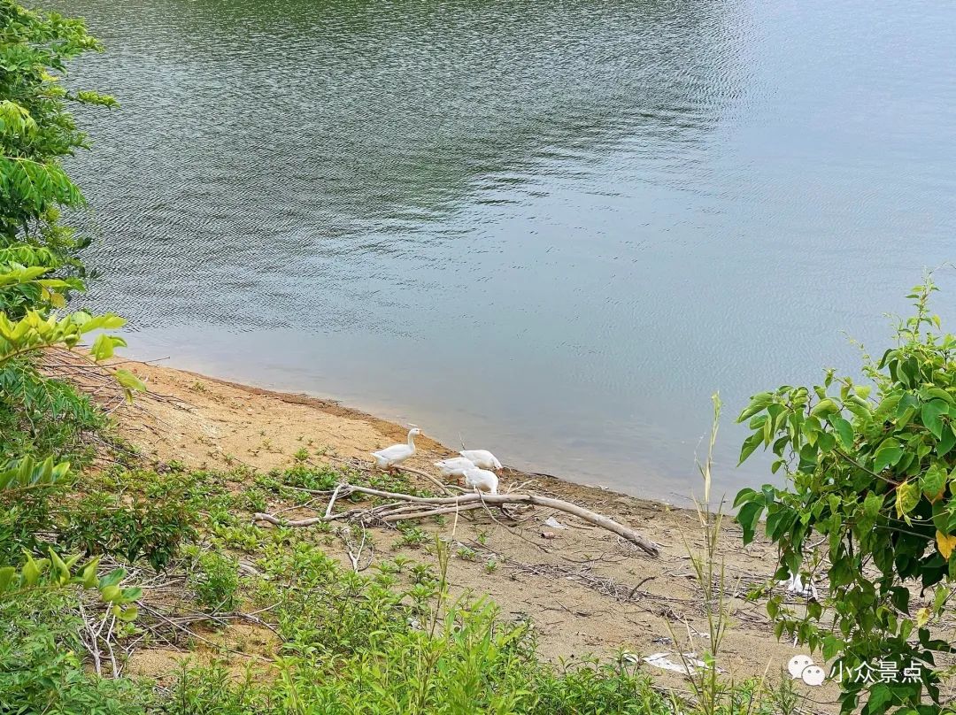 安基山水库地图,安基山水库在什么地方