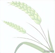 普兰店上央视,央视早间新闻大连