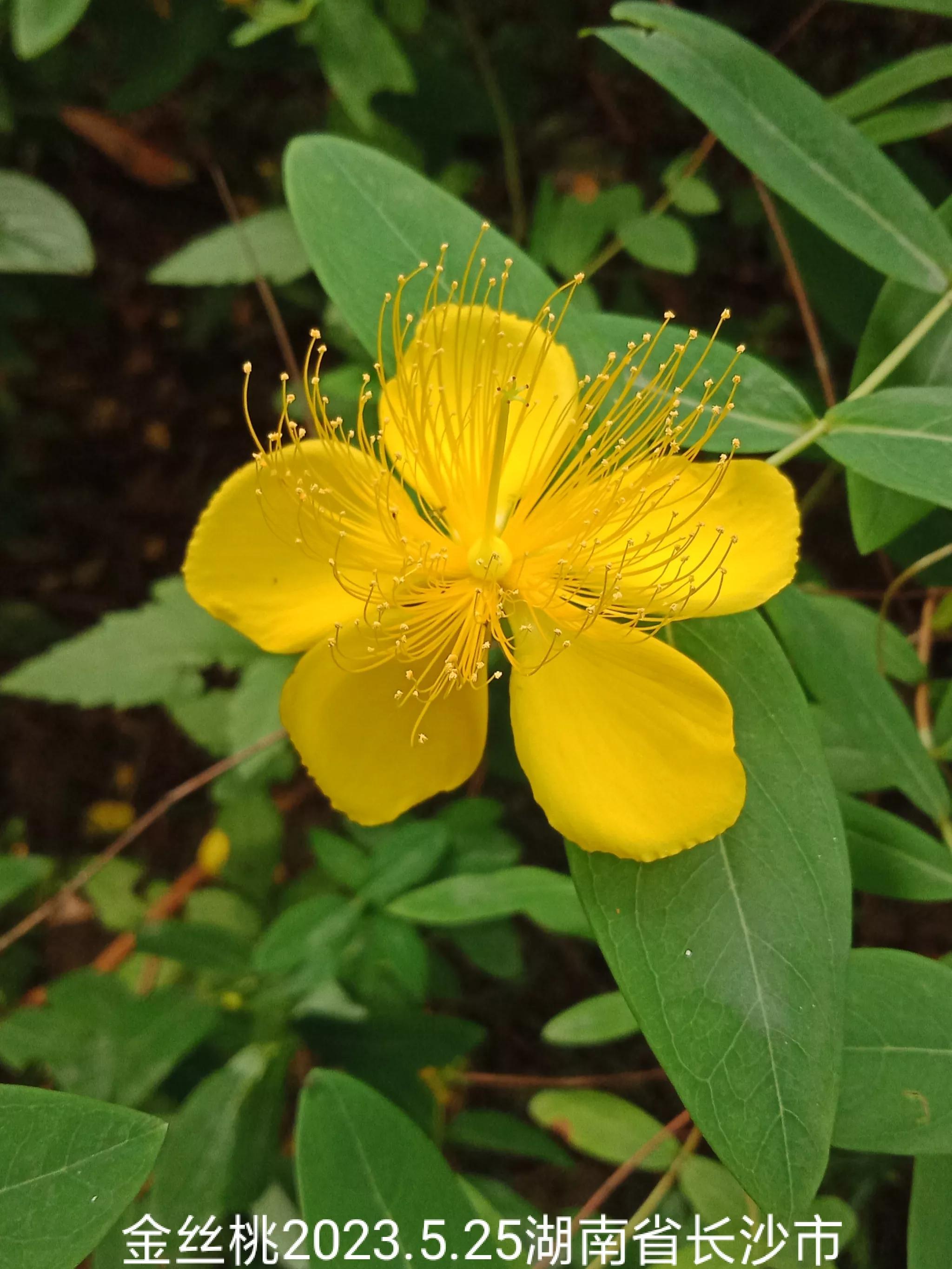 微信群没有保存下来怎么找回来,怎么找回没保存的微信群