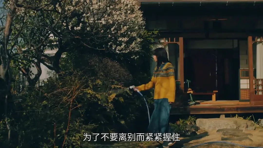 男孩求婚双向奔赴才有意义 (爱是双向奔赴才有意义求婚)