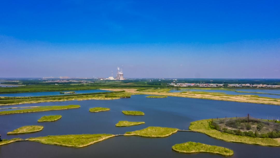 时光交织·呼兰韵事|带你踏遍“满洲谷仓”的魅力足迹