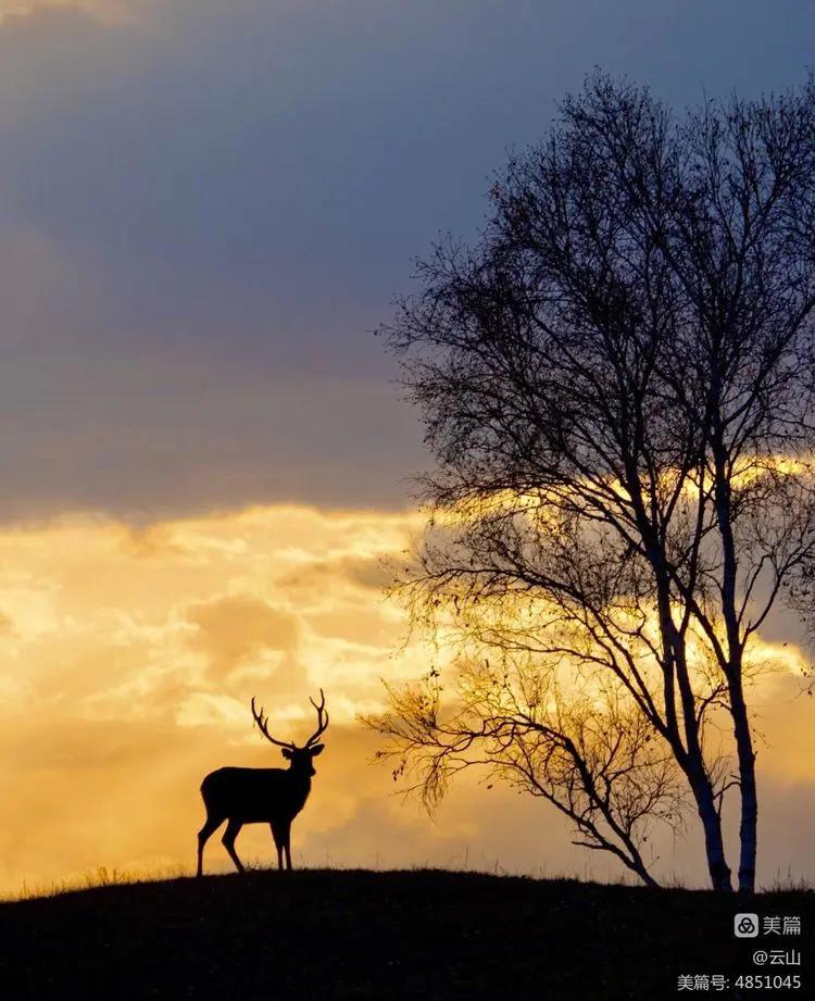 画意风光,画意风光摄影