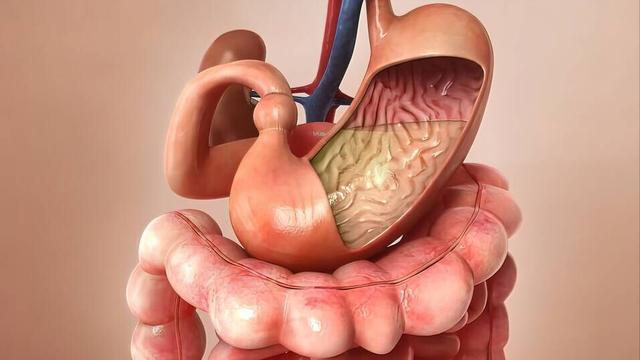 中医对中风的认知和康复方法,脑中风跟癫痫有什么区别