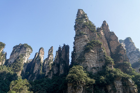 飞雪迎春山花烂漫,飞雪迎春绽玉蕊