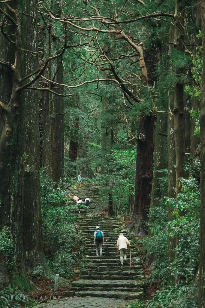 御守和护身符可以同时佩戴吗,御守和平安符的区别