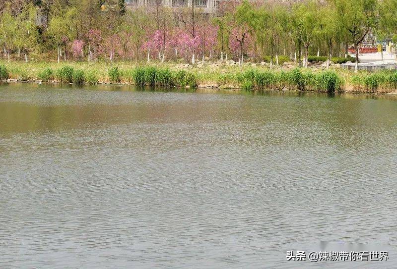 盐城最大的海边城市,盐城海岸线为何一直延伸