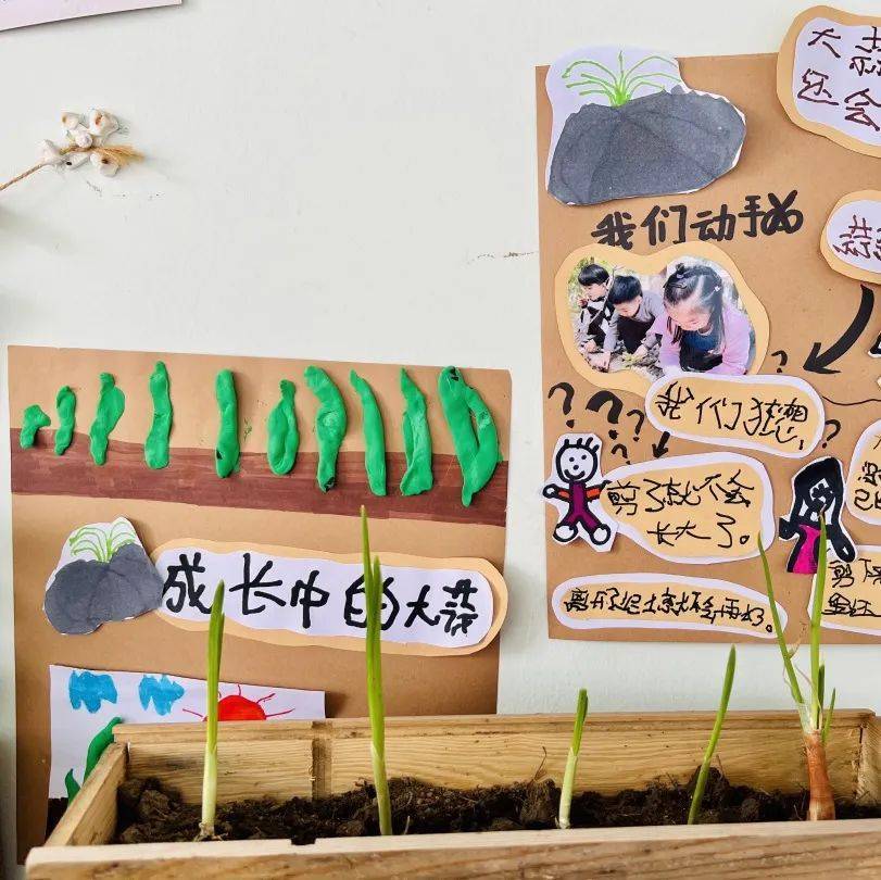 生态环创幼儿园自然角,幼儿园环创自然角实验