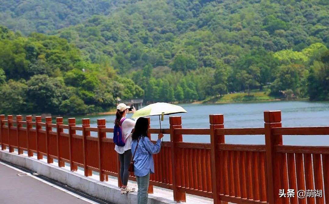 夏天去广州旅游攻略一天,广州旅游攻略一天一夜自由行