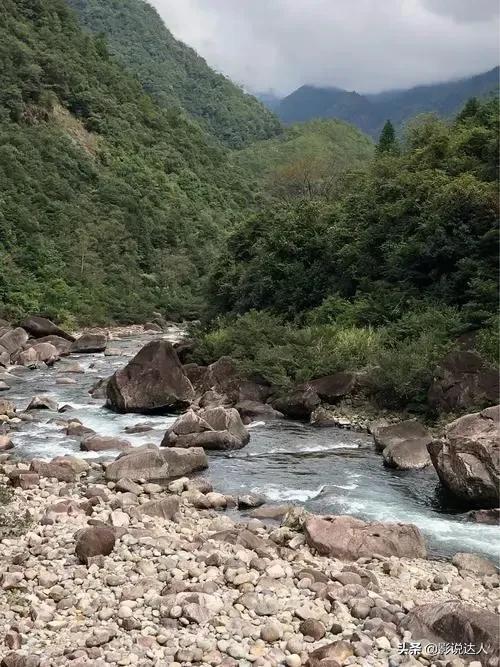 湿地的家园,河家园