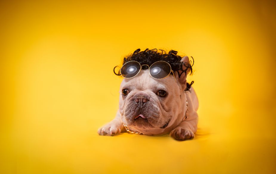 媒介盒子发软文有用吗,媒介盒子软文赚钱是真的吗