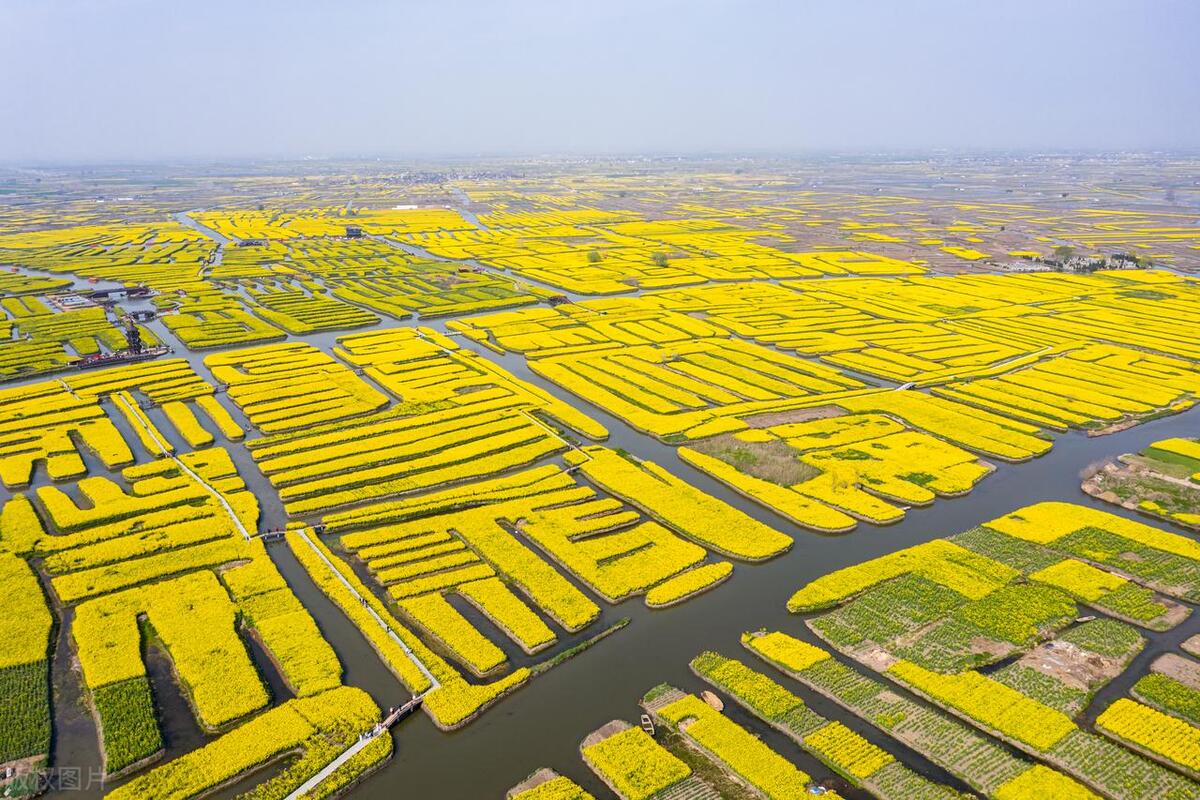 赏花江苏,江苏春季赏花景区