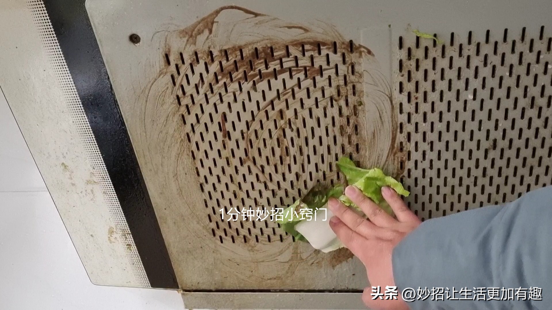 用白菜叶擦油烟机,油烟机上的白菜叶怎么清理