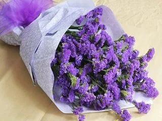 流年如水一般淡去回忆依旧温存习惯了现实的冷漠习惯了飄渺的溫暖