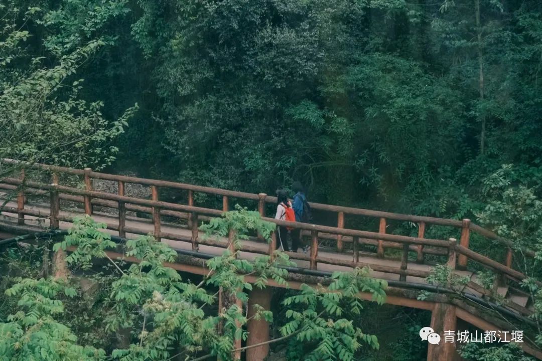 青城山森林秘境,青城山风光好去处