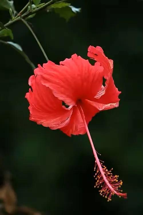 国色天香秀色可餐的美女 (秀色可餐与国色天香)