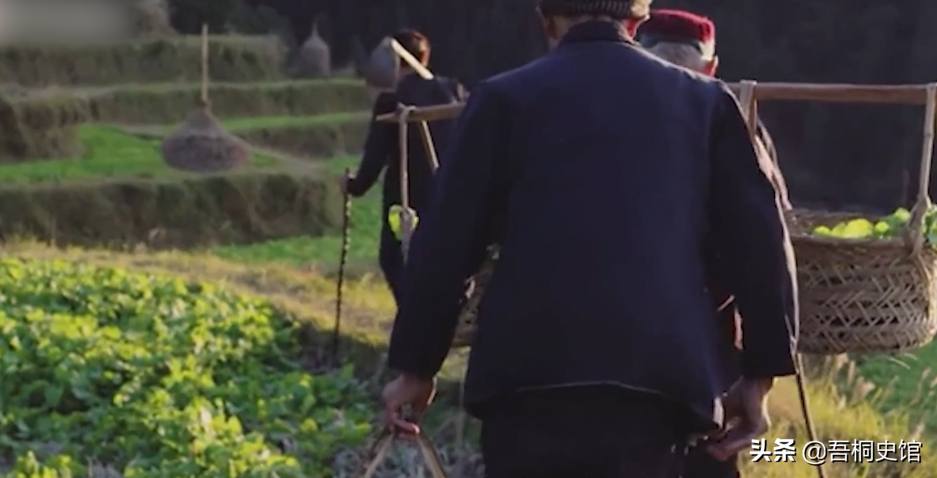 50岁老汉捡弃婴女儿身价过亿,1997年河南老头捡到弃婴