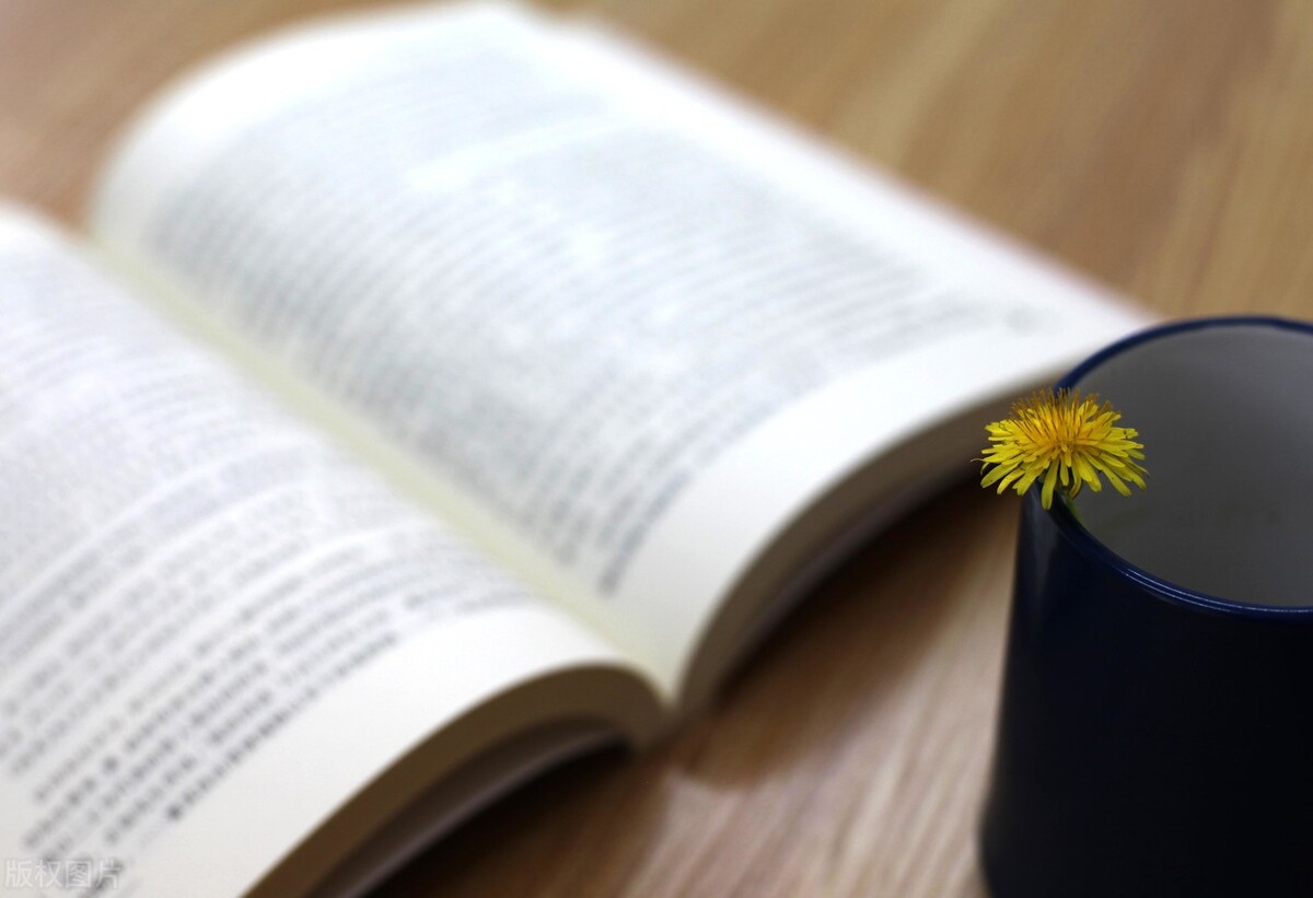 如何抄书赚钱教程,怎么通过抄书与文案赚钱