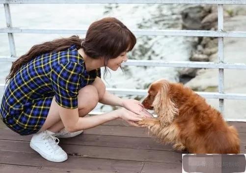 养了15年的狗突然不认识了,成年狗养了3天能找到家吗