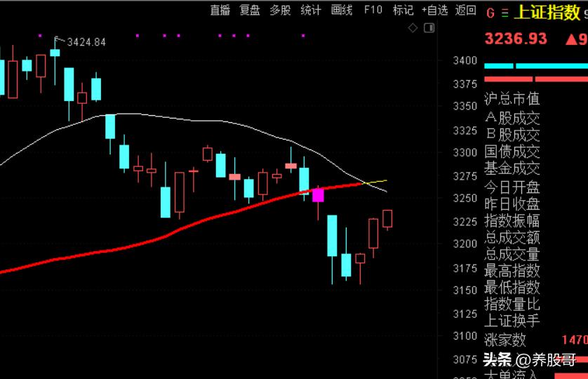 新手不要盲目炒股,新手炒股不亏怎么办