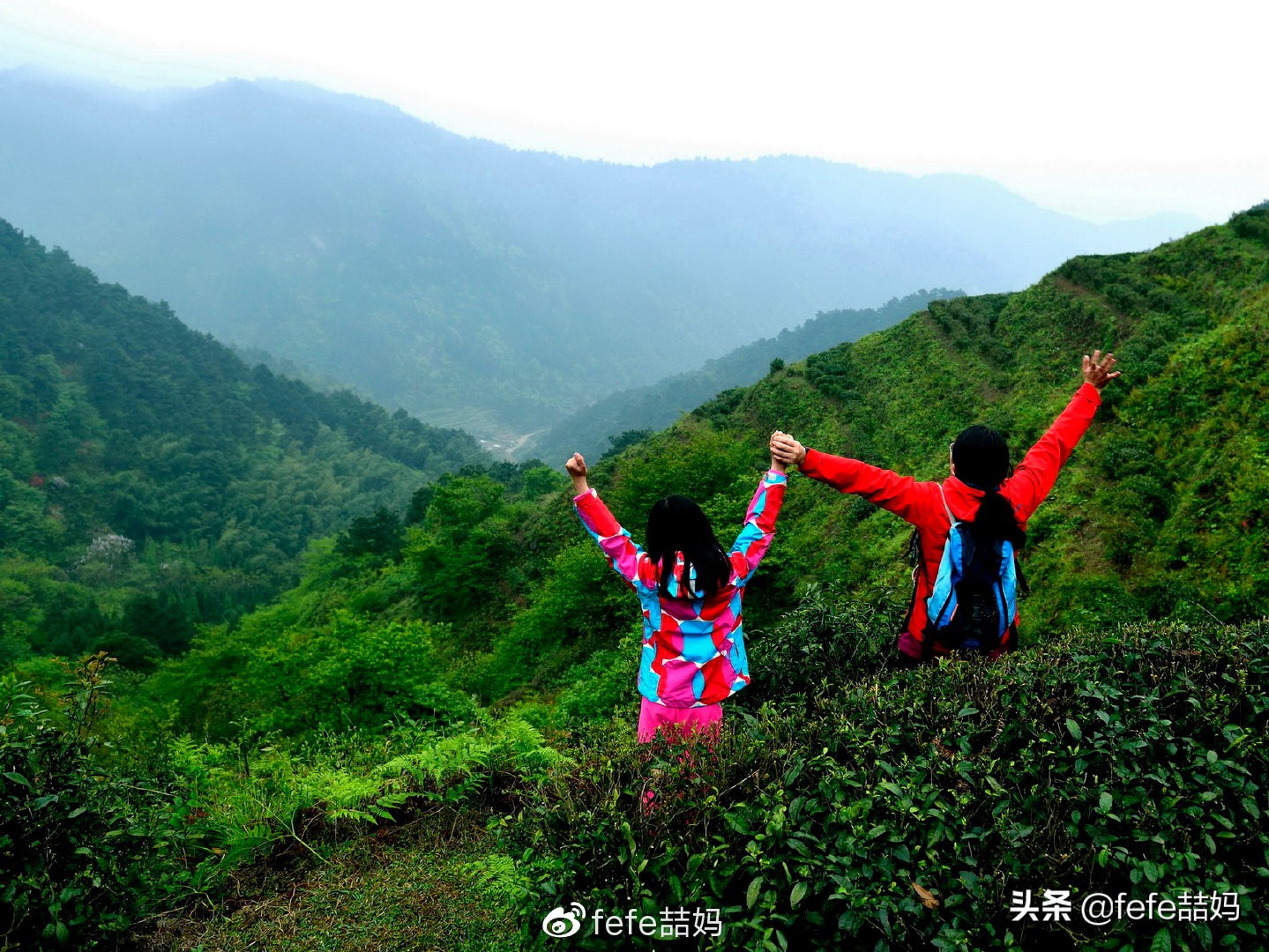 母亲节最火的书单,母亲节励志书单文字版