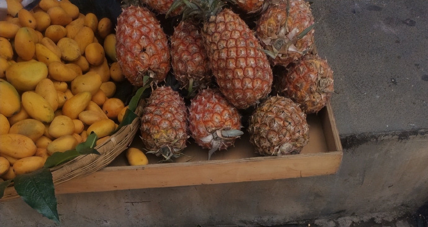 迷你小菠萝叫什么,迷你小菠萝完整视频