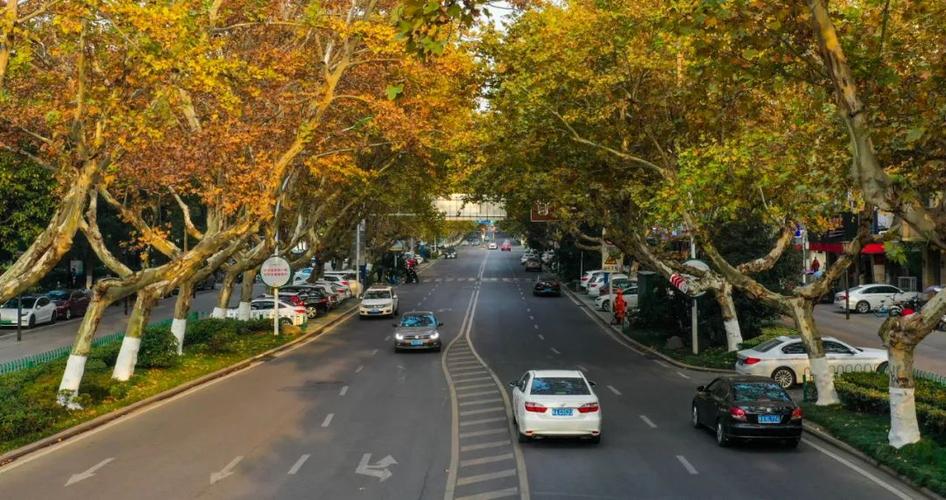 安徽省合肥市旅游景点路径图,合肥市庐江县金牛镇旅游景点