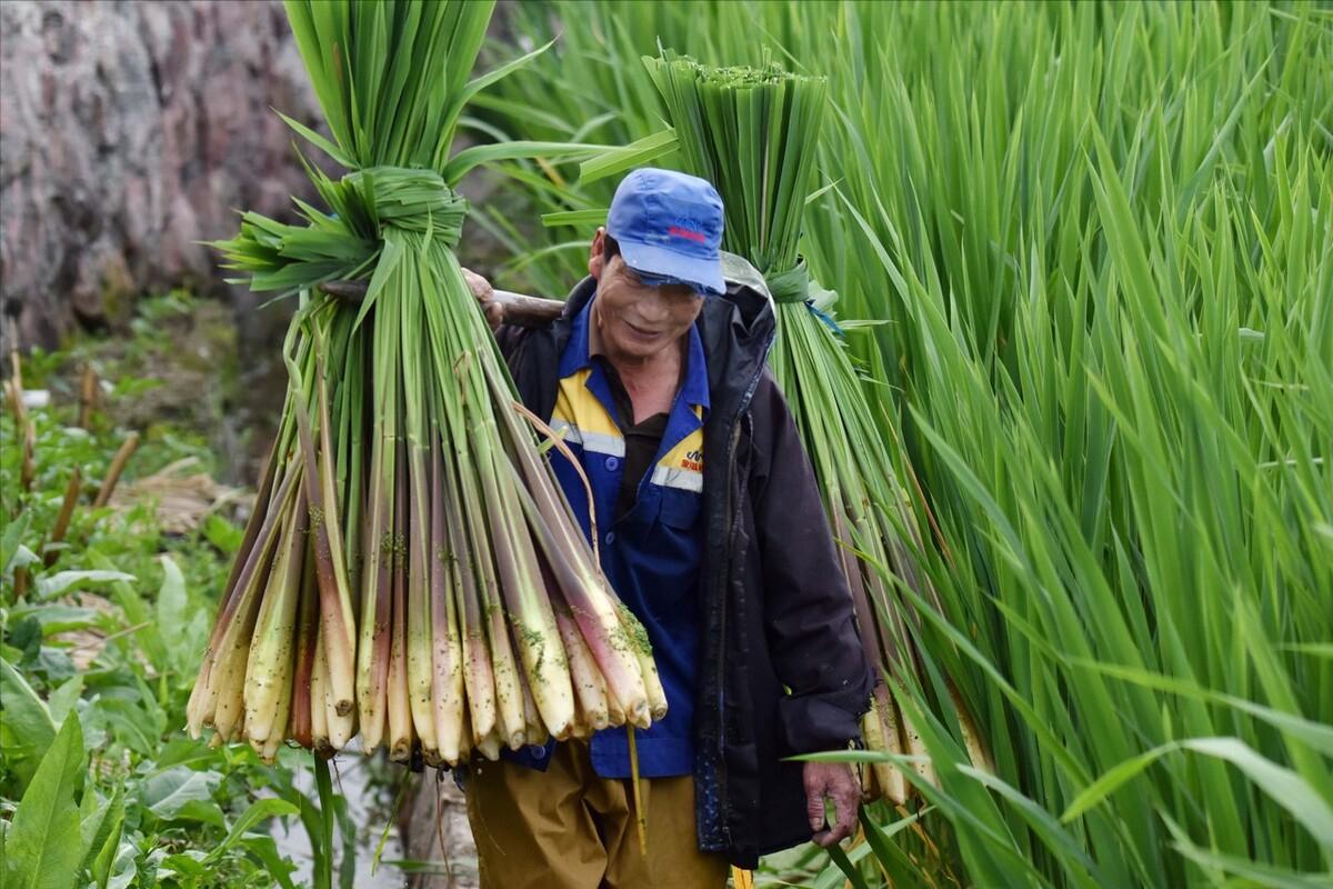 被中国人遗忘和淘汰了的“米弟米妹”，却被老外高价卖到了国内