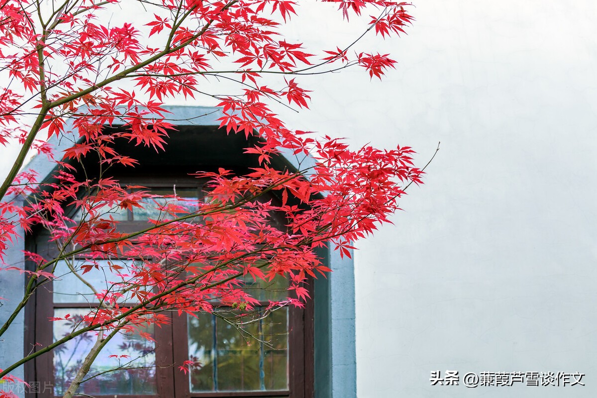 三年级习作我有个想法例文,三年级第六单元习作我有一个想法