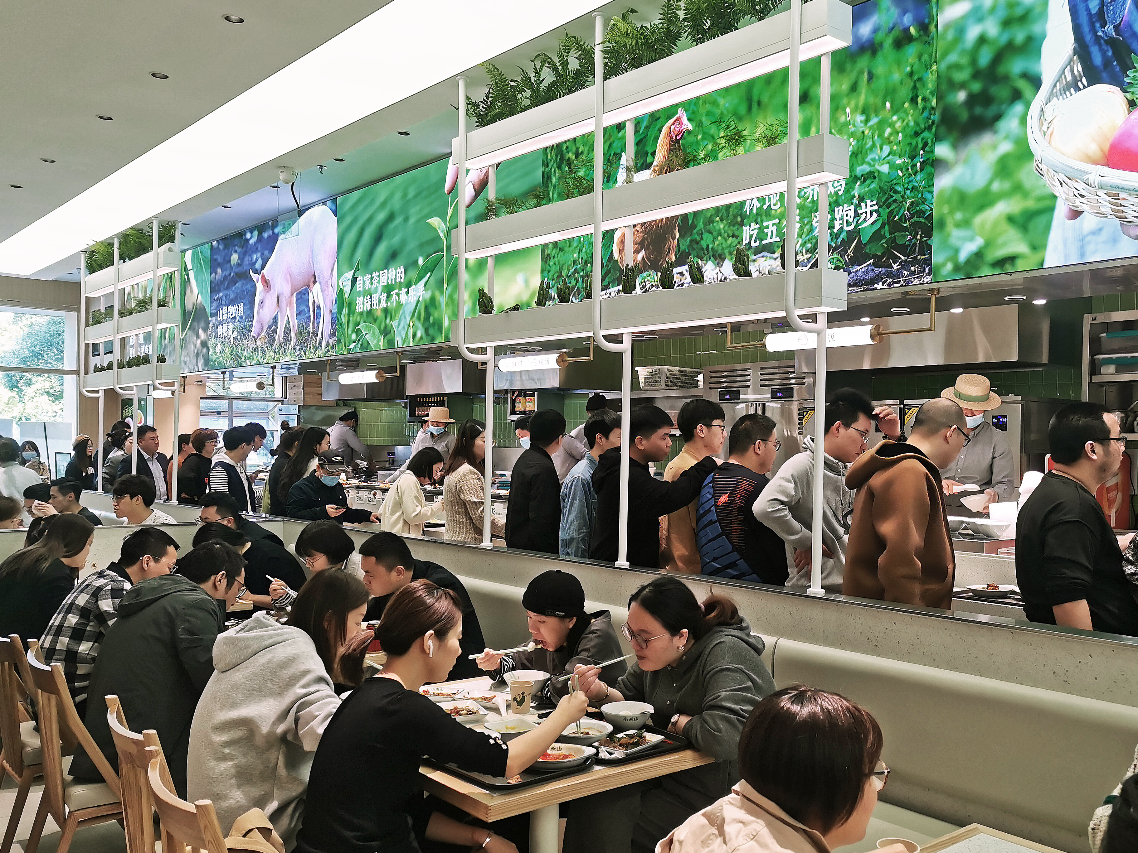 加盟小型中式快餐店怎么样,中式快餐店加盟技巧