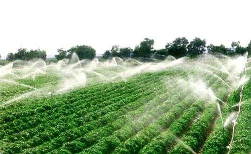 农业的未来盈利模式,农业的未来一定是技术为王