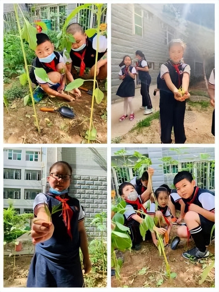 兰州东方学校有小学吗,兰州东方学校2021初中招生