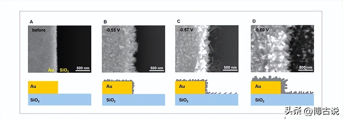 碲离子和氢氧化钠反应,碲离子