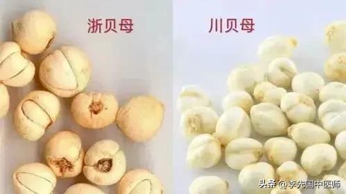 关于贝母治疗咳嗽的中成药有哪些,贝母治咳嗽用什么中药好