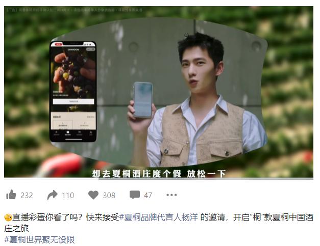 中国第一个葡萄酒广告,葡萄酒广告