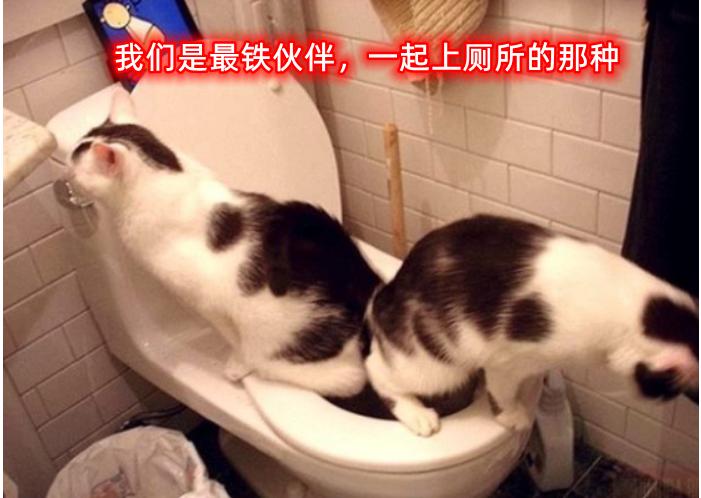 小学生的社死名场面——上课拉裤兜儿！如厕教育也是幼小衔接