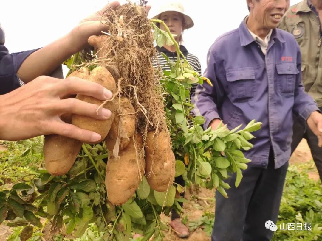 鍏ㄧ渷鍔犲伐鍨嬮┈閾冭柉,鍦熻眴闈╁懡鍔╁姏涓版敹涓颁骇