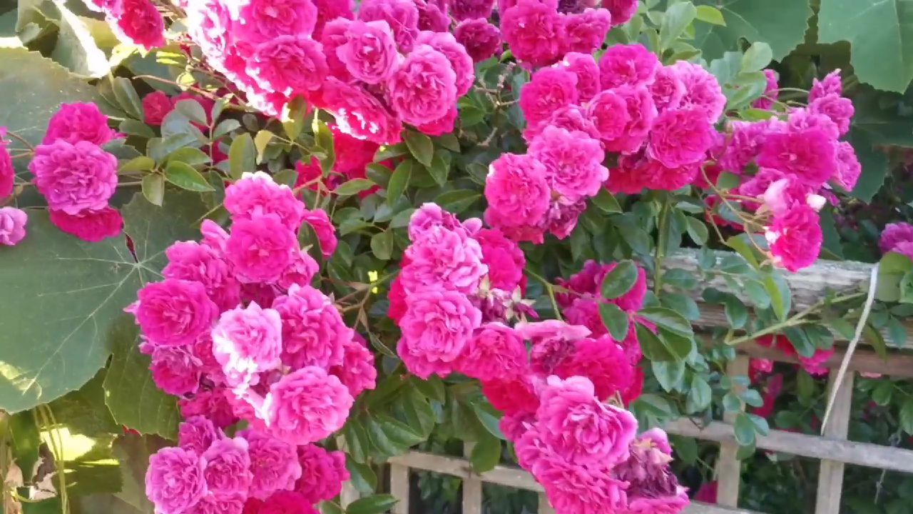 好山好水好寂寞69563725,好山好水好寂寞出处