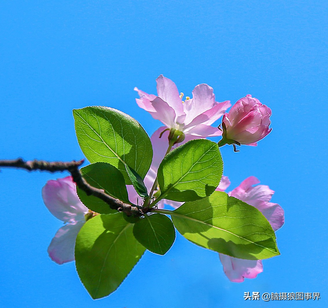 你拍的照片不够唯美,你拍的照片不清晰是怎么回事