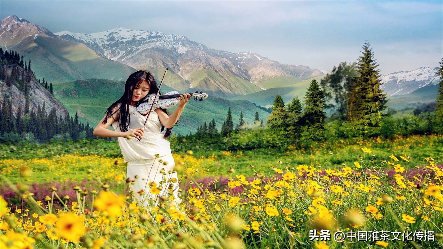 世事浮华岁月喧嚣,岁月如歌谁与共浮华若梦