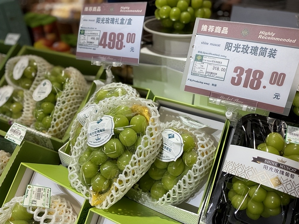 日本阳光玫瑰葡萄2000一斤,日本阳光玫瑰葡萄多少钱一斤