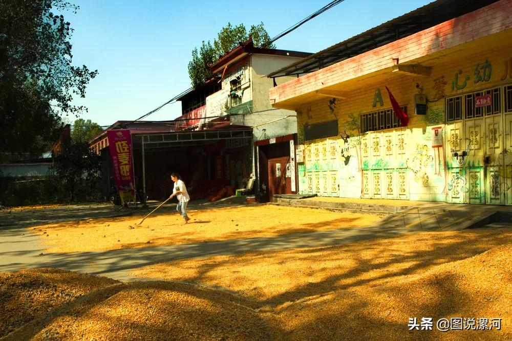 获奖摄影比赛作品,摄影比赛获奖名单公示