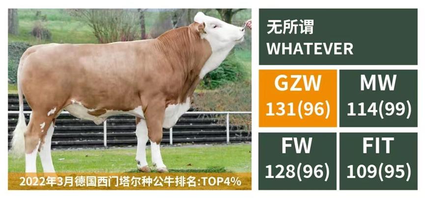 国内牛羊冻精企业排名,国内牛冻精前十名厂家是哪些