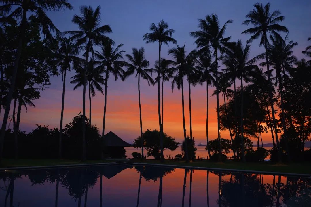 这可能是全球性价比最高的一家阿丽拉